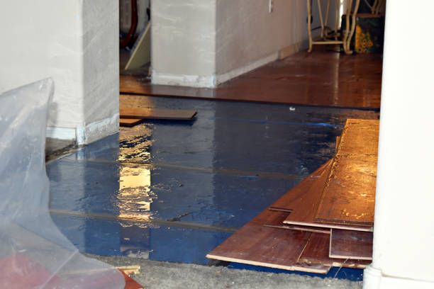 Professional Burst Pipe Cleanup technician working in Garland, NC